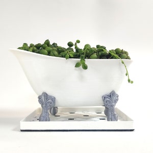 Könnte beinhalten: Ein weißer Keramik-Badewannen-Pflanztopf mit grauen Füßen, gefüllt mit einer grünen Sukkulentenpflanze. Der Topf steht auf einem weißen und schwarzen Fliesentablett.