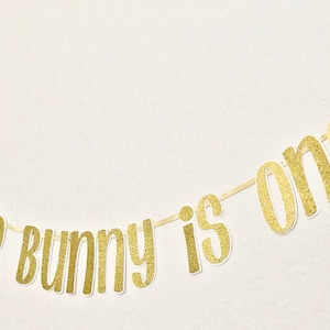 Bannière Lapin n'est qu'un, bannière d'anniversaire sur le thème du lapin, décorations de fête lapin