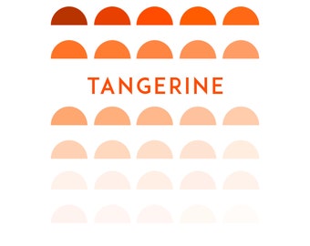 Tangerine - Procreate Swatch Farbpalette - 30 Warm Orange Farbtöne