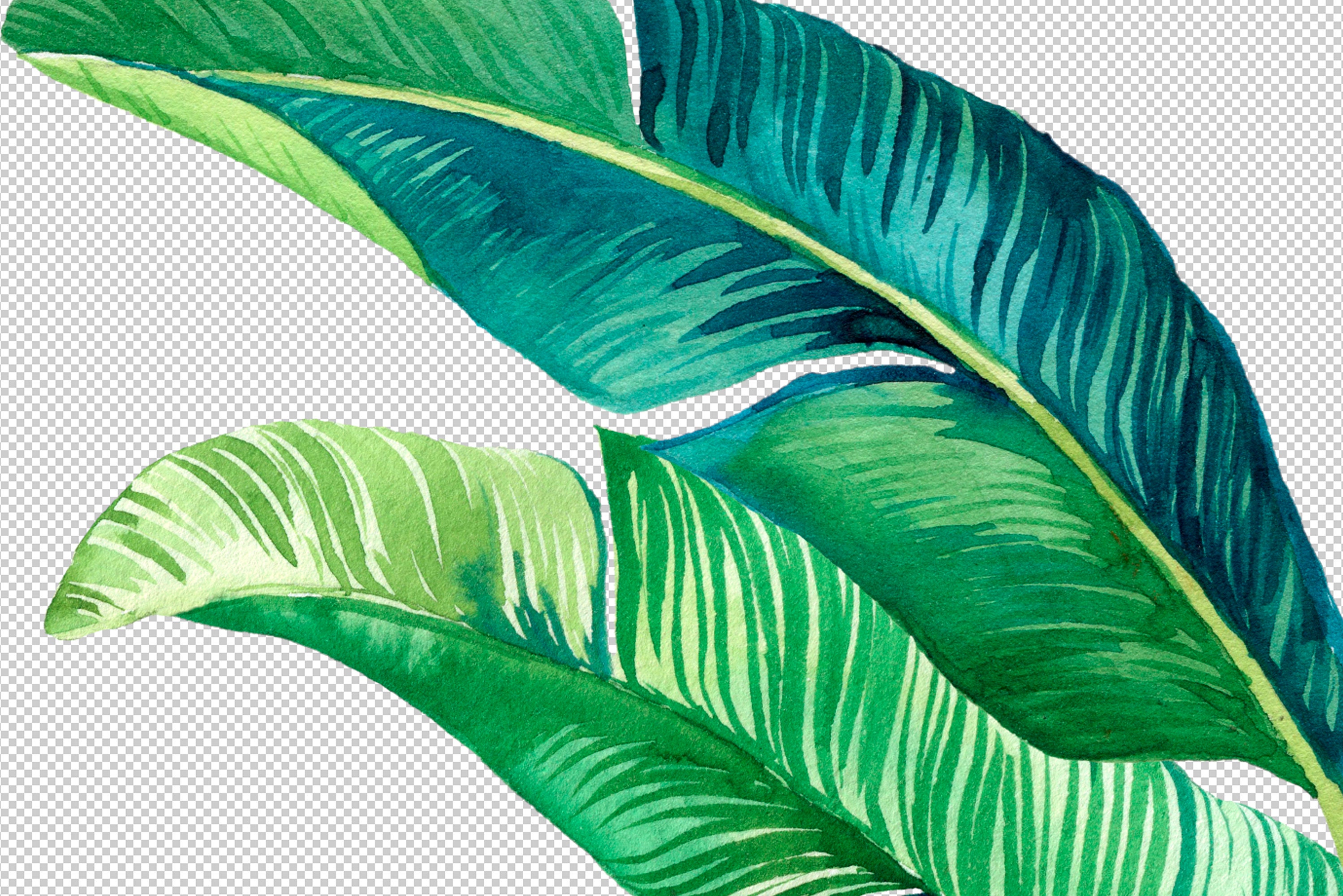 Watercolor floral clipart Digital clipart Tropical Flowers | Etsy