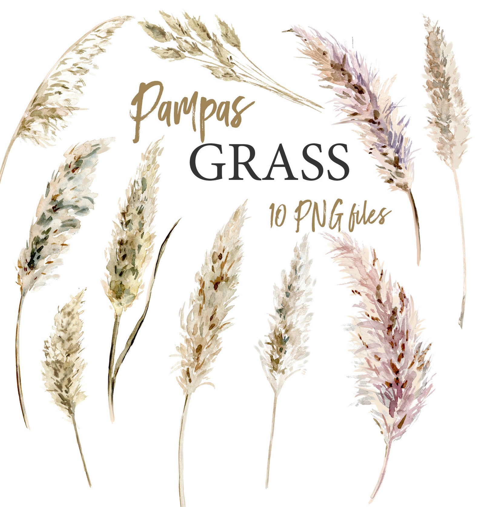 Pampas Gras Aquarell Boho tropischen Clipart Floral ClipArt Bild 1.