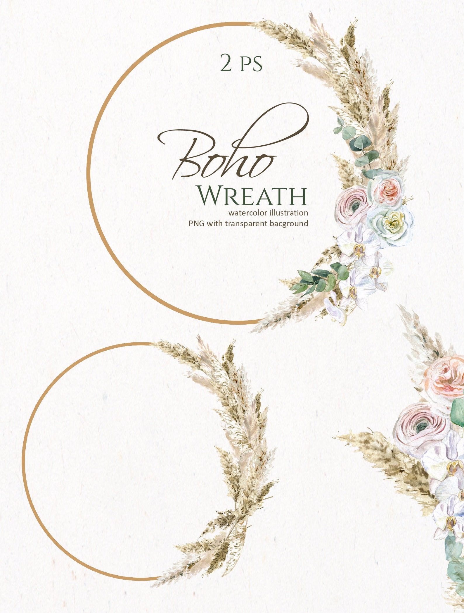 Pampas grass wreath Boho floral frame png watercolor clipart | Etsy