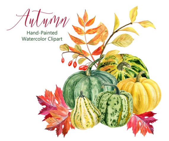 Fall Clip Art- Thanksgiving Harvest Digital Download Watercolor Pumpkin and Leaves Pastel Pumpkins Clipart Halloween Jack O Lantern