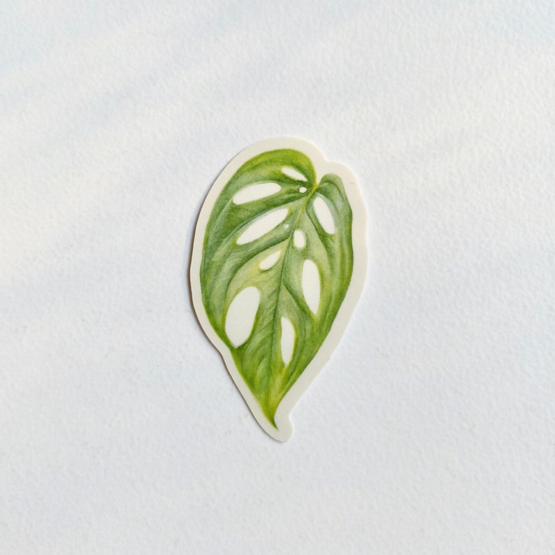 leafy 4 pack matte vinyl weatherproof sticker