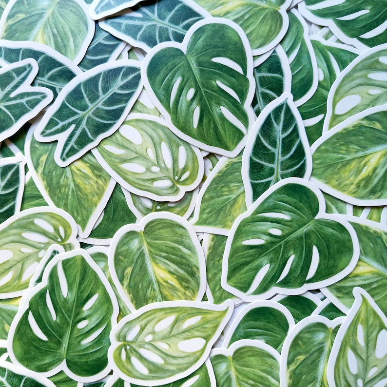 leafy 4 pack matte vinyl weatherproof sticker