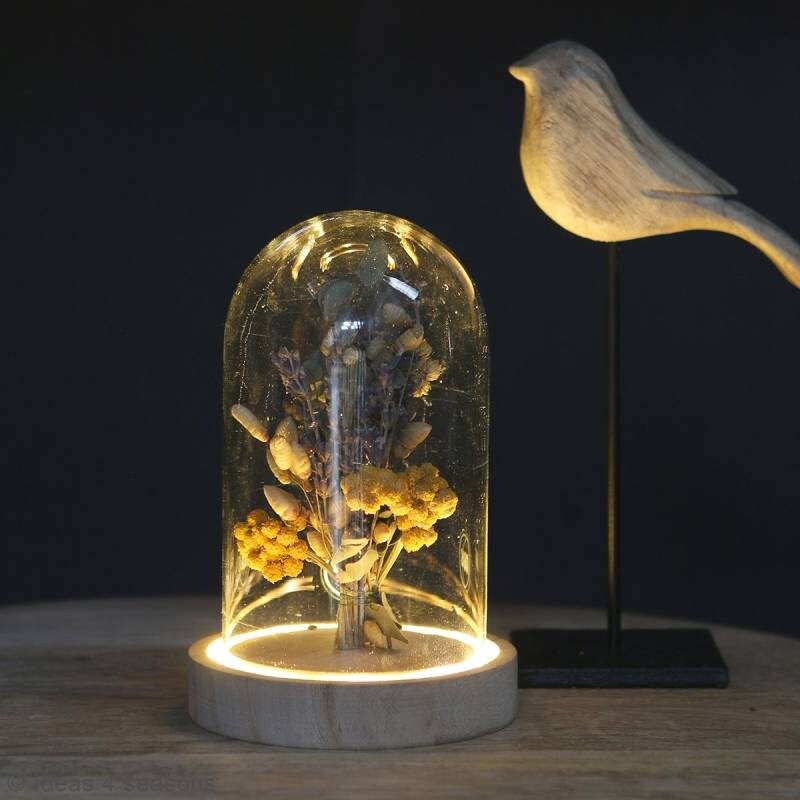 Cloche en Verre avec Socle Lumineux - Tailles Aux Choix