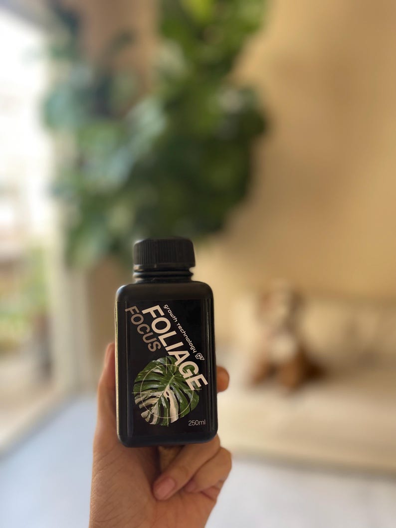 May include: A black bottle of Foliage Focus growth technology for plants. The bottle is labeled with a green and white monstera leaf graphic and the text "Foliage Focus" and "250ml".
