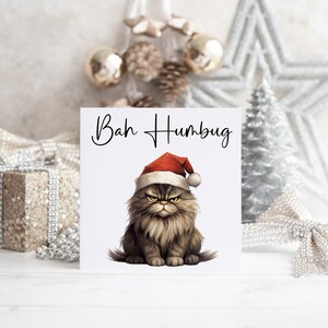 Carte de Noël grincheux, motif humoristique Bah humoristique, voeux pour les fêtes de fin d'année, cadeau de Noël original pour propriétaires d'animaux de compagnie, carte carrée de 6 x 6 po