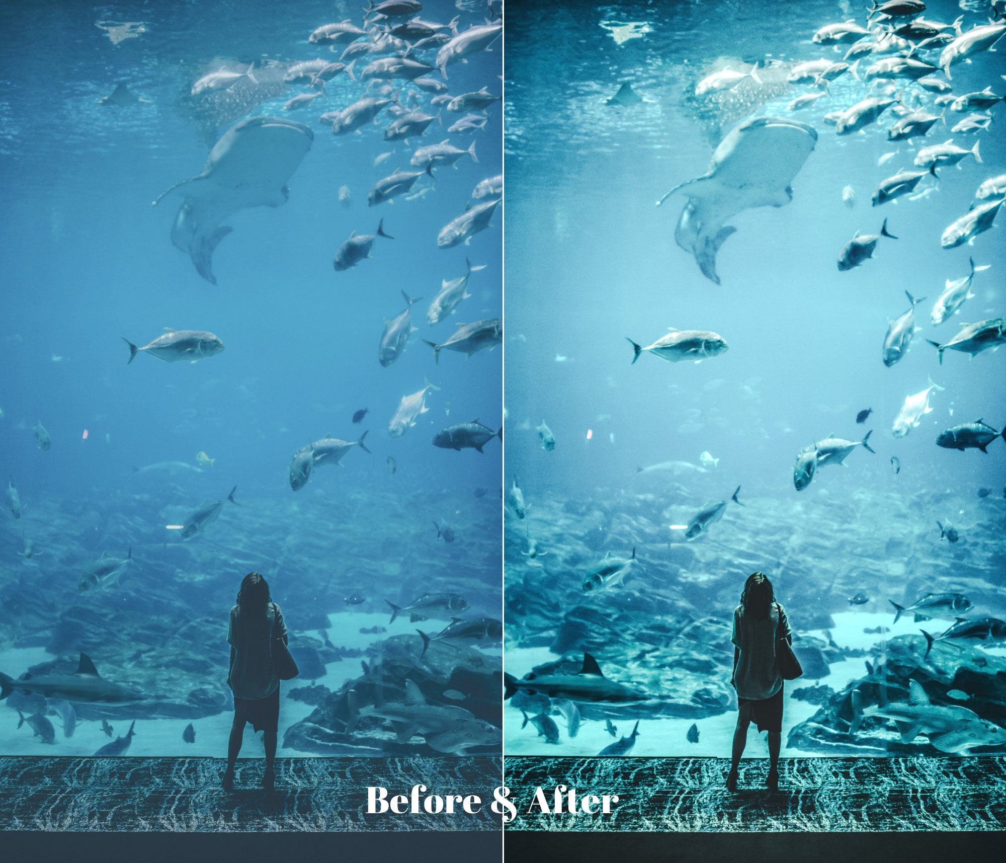 10 Lightroom PRESETS DESKTOP MOBILE Underwater Beach Etsy