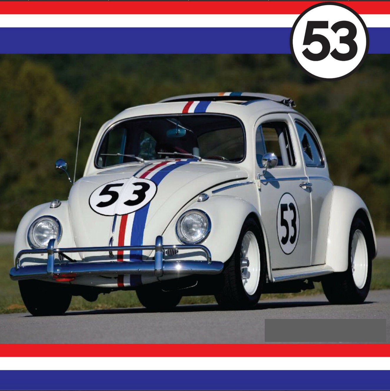 Car Herbie the Love Bug Decals Set Vehicle Graphics Stickers Etsy