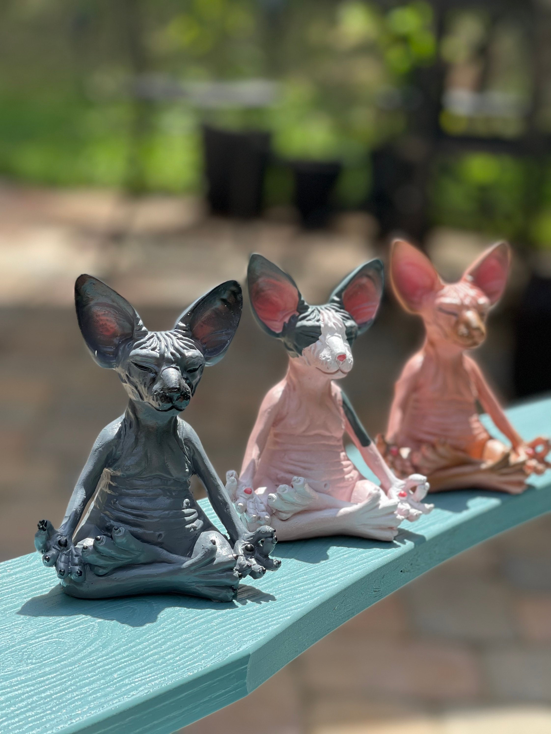 Sphynx Cat Meditate yoga Meditating Cat Meditating Pet | Etsy