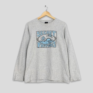 May include: Gray long-sleeve t-shirt with a blue and black graphic print of a cartoon scene with the text "SECRET PASTURES".