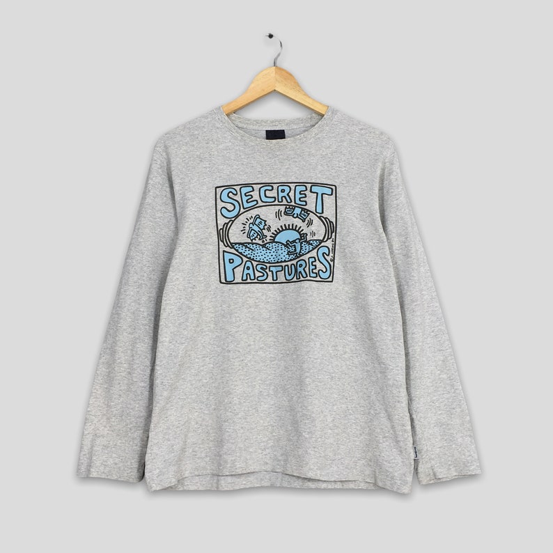 May include: Gray long-sleeve t-shirt with a blue and black graphic print of a cartoon scene with the text "SECRET PASTURES".