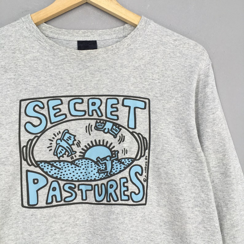 May include: Gray long-sleeve t-shirt with a graphic print of a blue and black illustration. The illustration features a sun, a figure, and the text "SECRET PASTURES".
