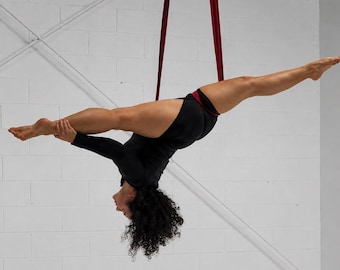 Professional Aerial Loops for Circus Arts, Acrobatics Training and Performance