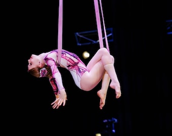 Circus Training Loops with Velvet Cover for Lyra and Hoop Rigging, Equipment for Aerial Acrobats with Safety Locks
