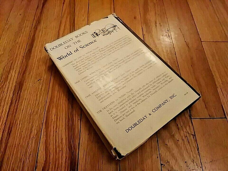 Autobiography of a face picture