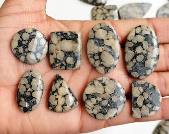 May include: A collection of ten natural stone cabochons with a black and brown marbled pattern. The stones are various shapes and sizes, including round, oval, square, and triangular.