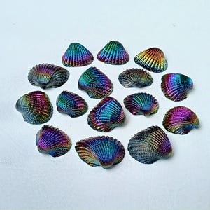 以下が含まれることがあります： 青、緑、紫、赤の様々な虹色の貝殻のコレクション。貝殻は白い背景に円形に配置されています。