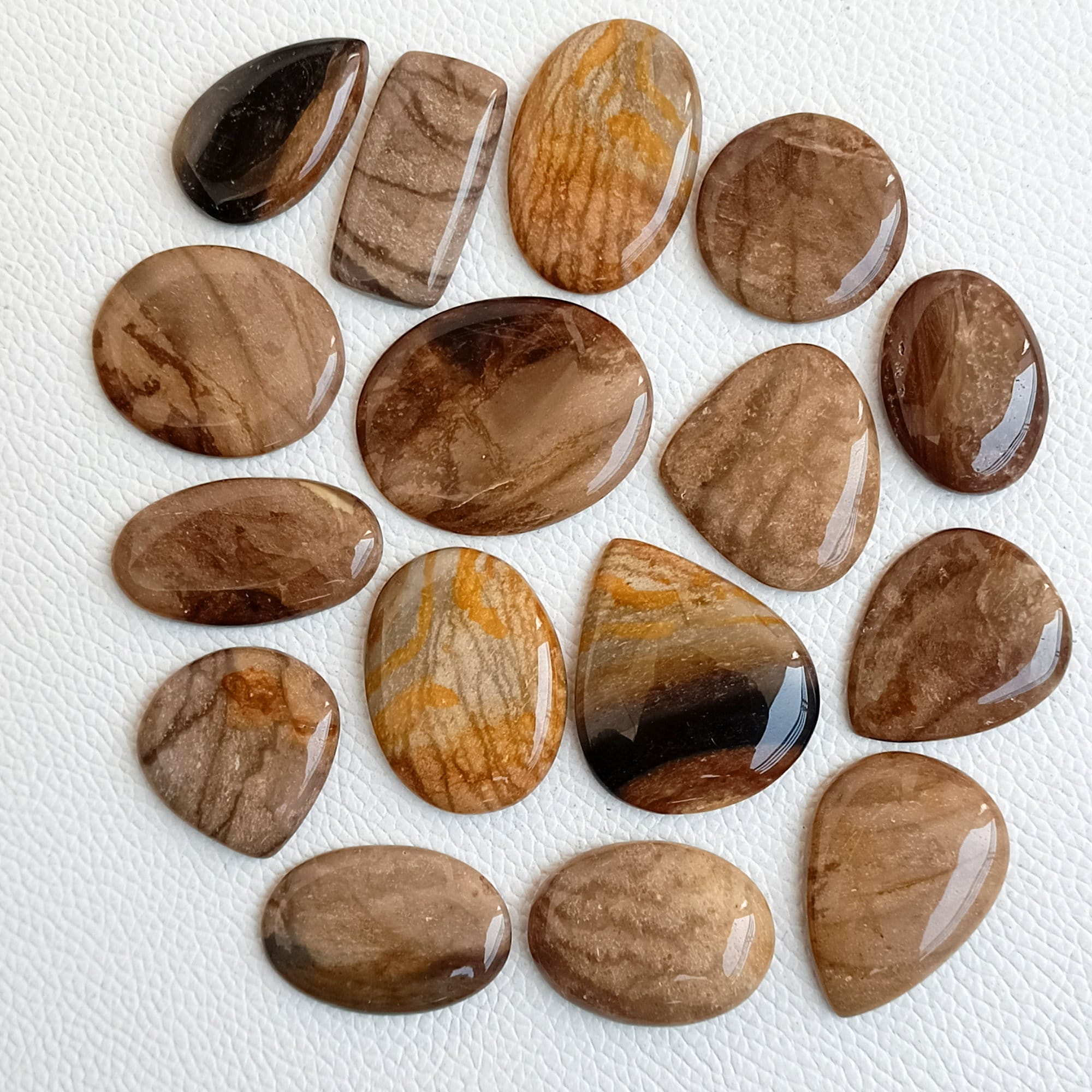 Palm Root Fossil, Natural Palm Root Gemstone, Bulk Palm Root 