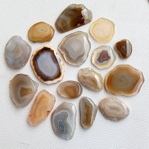 May include: Assortment of agate slices in various shapes and sizes. The slices feature natural patterns of brown, white, and gray banding.