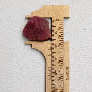 May include: A deep red ruby gemstone measuring approximately 1.2 cm in length, displayed on a ruler with inch markings.