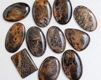Cabujón fósil, coral fósil negro, piedras preciosas al por mayor, cuentas de coral fósil a granel, piedra de coral fósil para colgante envuelto en alambre, joyería para collar