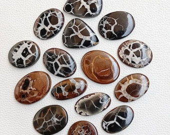 May include: A collection of 14 polished, oval-shaped, and teardrop-shaped, natural agate gemstone cabochons. The cabochons feature a variety of brown, black, and white patterns.