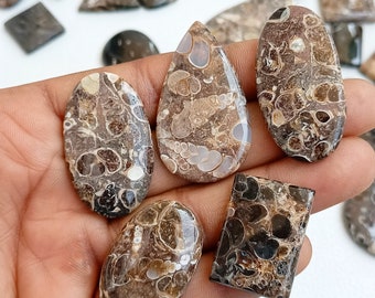 Lote de Ágata Turritella, Lote de Cabochões de Ágata Turritella Natural, Ágata Turritella no Atacado, Pedra Preciosa de Ágata a Granel para Fornecimento de Joias e Artesanato