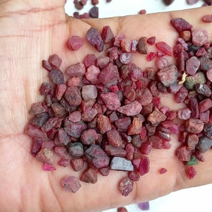 May include: A close-up of a hand holding a pile of small, rough, red ruby gemstones. The stones are various shapes and sizes, with some having a more pointed or elongated shape.