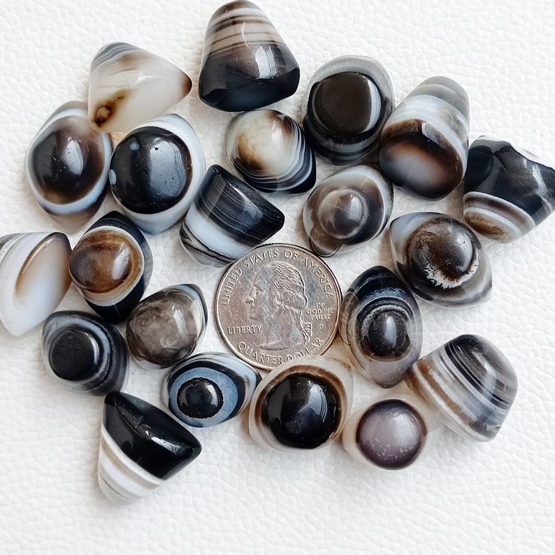 May include: A collection of 18 agate stones, each with a unique pattern of black, white, and brown bands. The stones are smooth and polished, and they have a variety of shapes and sizes.