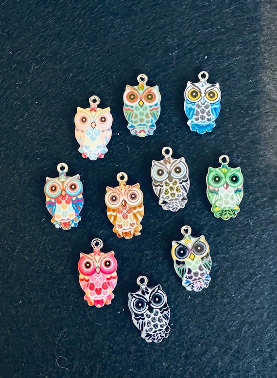10 Piece Colorful Owl Charms