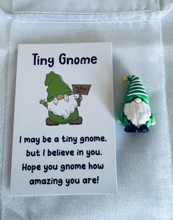 Green Good Luck Gnome With Positivity Card and Gift Bag