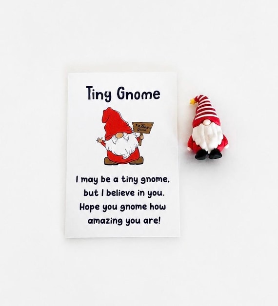 Red Good Luck Gnome With Positivity Card and Gift Bag
