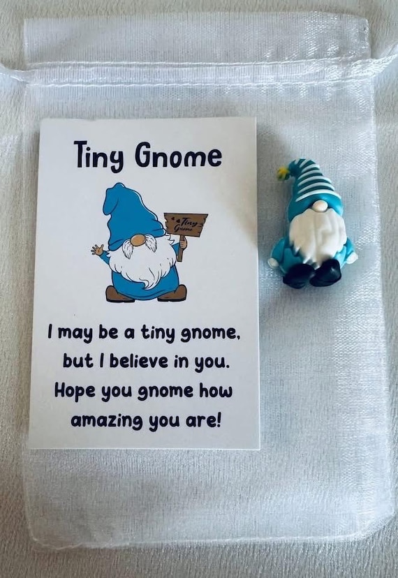 Blue Good Luck Gnome With Positivity Card and Gift Bag