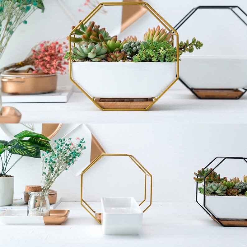 Wall Planter Hanging Planter Wall Terrarium Wall Succulent Etsy