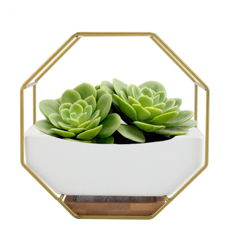 Wall Planter Hanging Planter Wall Terrarium Wall Succulent Etsy