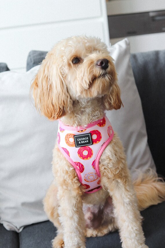 donut dog harness