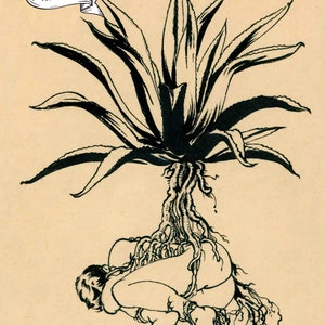 Papalota Maguey. Queer, lgbtq, gay art, surreal, Felix d&#39;Eon.