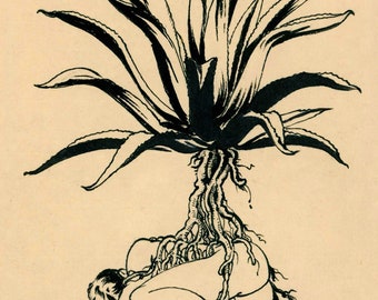 Papalota Maguey. Queer, lgbtq, gay art, surreal, Felix d&#39;Eon.