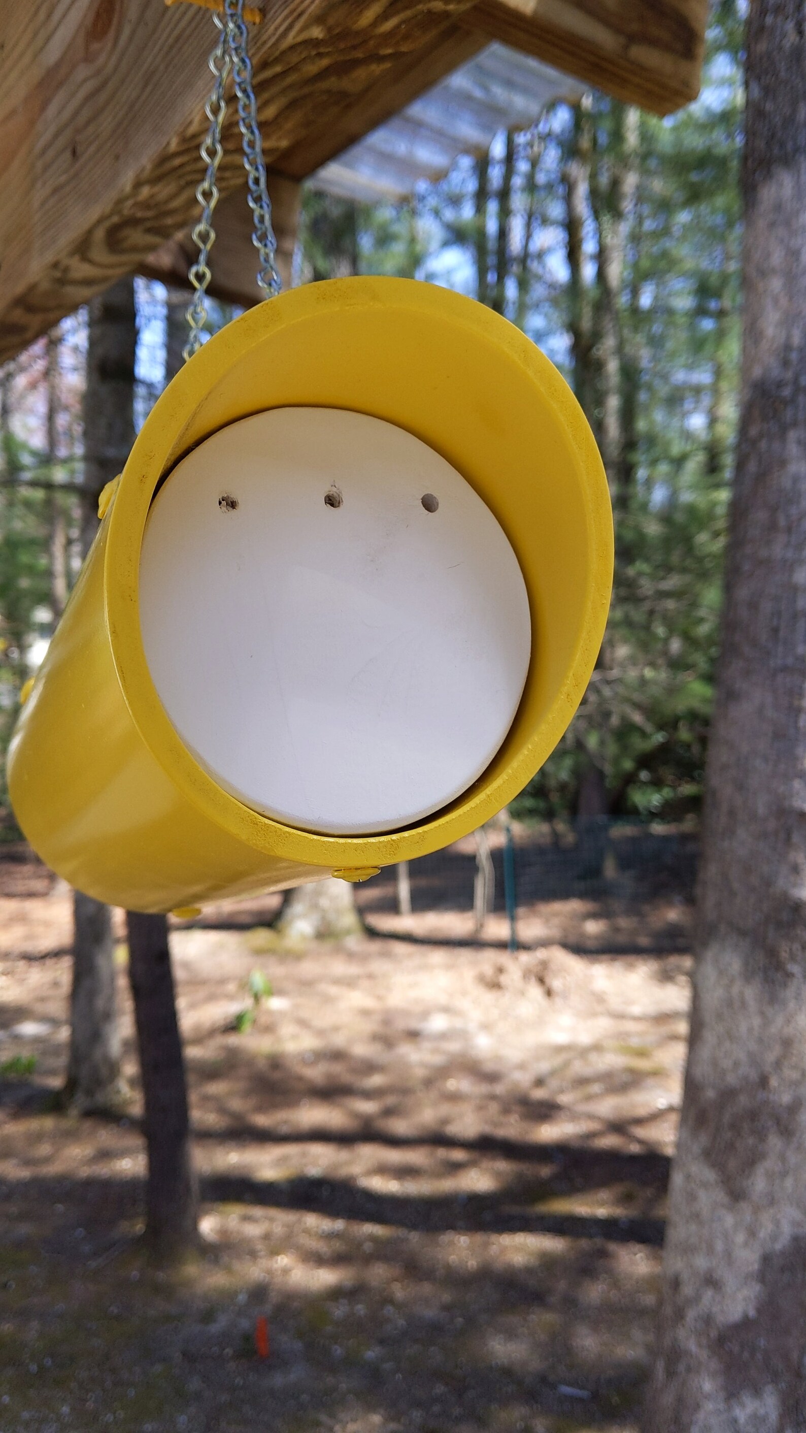 Handmade PVC pipe birdhouses for wrens or other small nesting Etsy