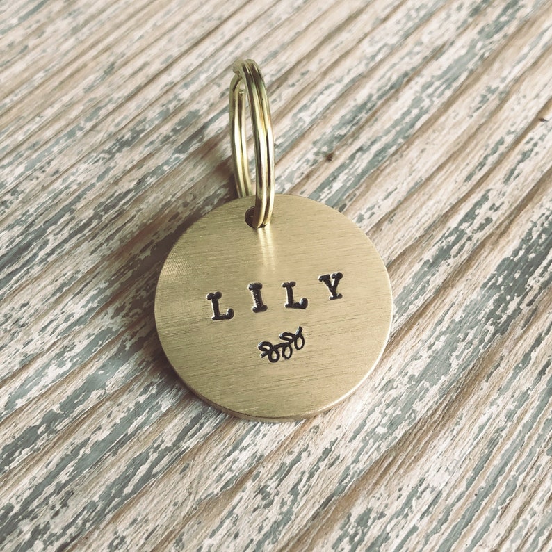 May include: A gold-colored round pet tag with the name "LILY" engraved in black lettering and a small floral design below. The tag is attached to a split ring.