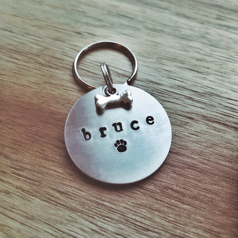 May include: Silver dog tag with a bone charm and the name "bruce" engraved on it. The tag also has a paw print.