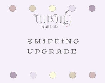School Supplies Shipping Upgrade for Chub /& Bug Purchases