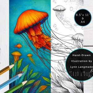 May include: A vibrant illustration of jellyfish in shades of orange, red, and yellow against a blue background. The artwork includes a hand-drawn black and white version. Text on the image reads "8.5" x 11" & A4" and "Hand-Drawn Illustration by Lynn Langmade ThuD & Dug."