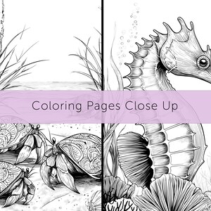 May include: Black and white coloring pages featuring detailed illustrations of marine life. The image includes a seahorse, hermit crabs, and other sea creatures. The text "Coloring Pages Close Up" is displayed across the image.