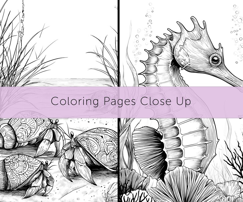 May include: Black and white coloring pages featuring detailed illustrations of marine life. The image includes a seahorse, hermit crabs, and other sea creatures. The text "Coloring Pages Close Up" is displayed across the image.