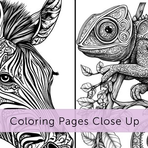May include: Black and white coloring pages featuring detailed illustrations of a zebra and a chameleon. The zebra's face is shown in close-up, while the chameleon is perched on a branch. The text "Coloring Pages Close Up" is displayed across the bottom.