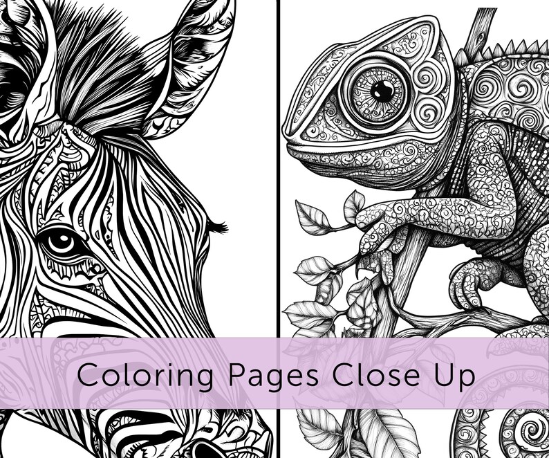 May include: Black and white coloring pages featuring detailed illustrations of a zebra and a chameleon. The zebra's face is shown in close-up, while the chameleon is perched on a branch. The text "Coloring Pages Close Up" is displayed across the bottom.