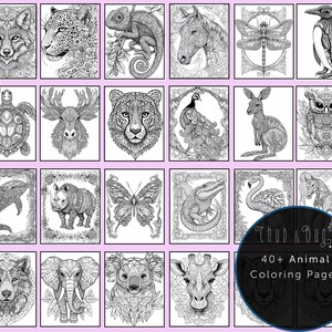 Op de afbeelding: Een verzameling van 24 zwart-wit dierenillustraties, geschikt om in te kleuren. De afbeeldingen bevatten een wolf, luipaard, kameleon, paard, libelle, pingu&iuml;n, schildpad, eland, cheetah, pauw, kangoeroe, uil, dolfijn, neushoorn, vlinder, alligator, zwaan en giraffe.